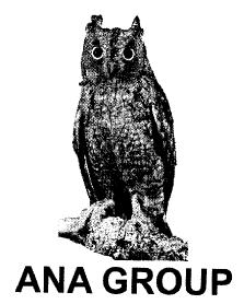 Imagen de ANA GROUP