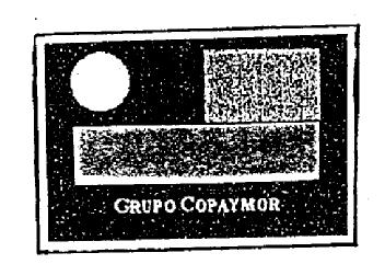 Imagen de GRUPO COPAYMOR