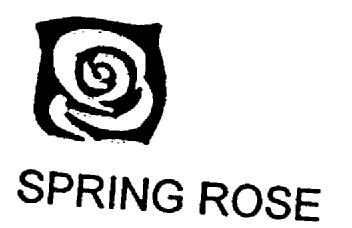 Imagen de SPRING ROSE