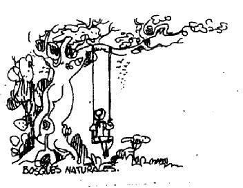 Imagen de BOSQUES NATURALES