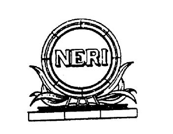 Imagen de NERI