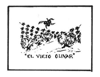 Imagen de EL VIEJO OLIVAR
