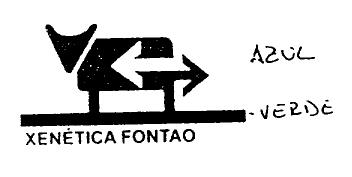 Imagen de XENETICA FONTAO