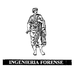 Imagen de INGENIERIA FORENSE