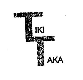 Imagen de TIKI TAKA