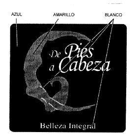 Imagen de DE PIES A CABEZA BELLEZA INTEGRAL