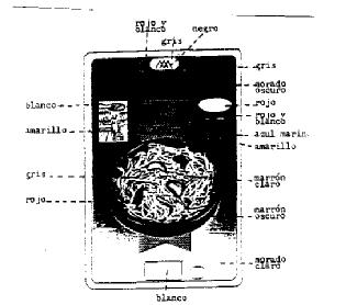 Imagen de M2193518