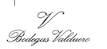 Imagen de V BODEGAS VALDUERO