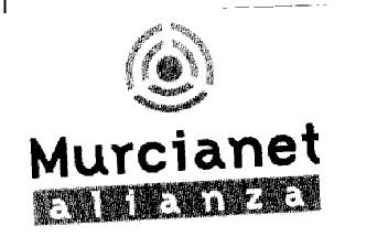 Imagen de MURCIANET ALIANZA