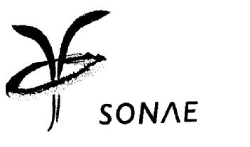 Imagen de SONAE