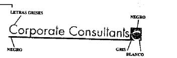 Imagen de CORPORATE CONSULTANTS C