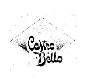 Imagen de CASTRO BELLO