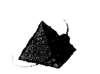 Imagen de M2199982