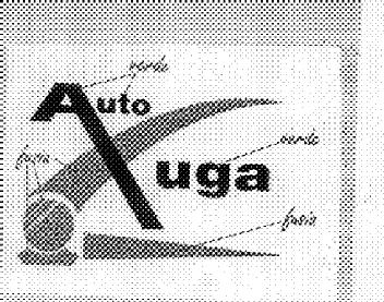 Imagen de AUTO XUGA