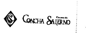 Imagen de CS CONCHA SALERNO COLECCION