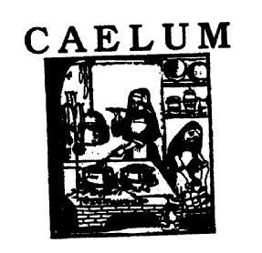 Imagen de CAELUM