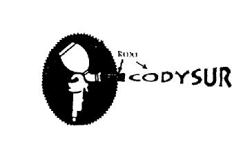 Imagen de CODYSUR