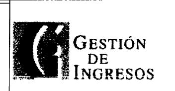Imagen de GI GESTION DE INGRESOS