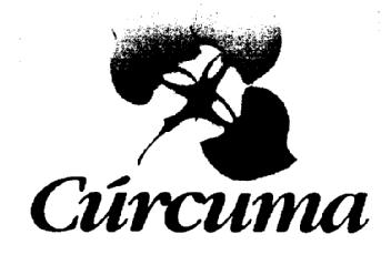 Imagen de CURCUMA