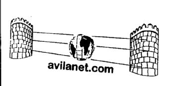 Imagen de AVILANET.COM