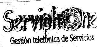 Imagen de SERVIPHONE GESTION TELEFONICA DE SERVICIOS