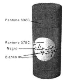 Imagen de TULIPAN NEGRO