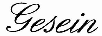 Imagen de GESEIN