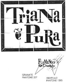 Imagen de TRIANA PURA FLAMENCO & DUENDE