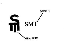 Imagen de SMT