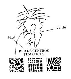 Imagen de RED DE CENTROS TEMATICOS