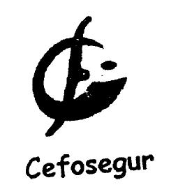 Imagen de CEFOSEGUR