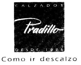 Imagen de CALZADOS PRADILLO DESDE 1886 COMO IR DESCALZO