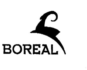 Imagen de BOREAL