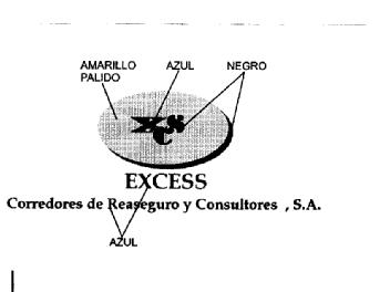 Imagen de EXCESS CORREDORES DE REASEGURO Y CONSULTORES, S.A. XCS