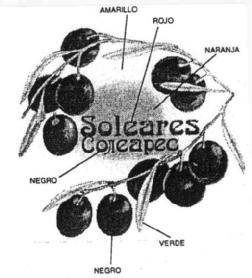 Imagen de SOLEARES CONEAPEC