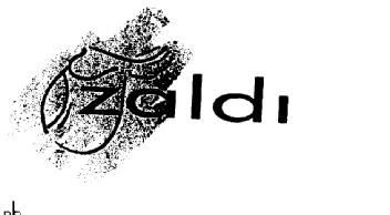 Imagen de ZALDI