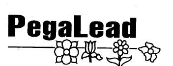 Imagen de PEGALEAD
