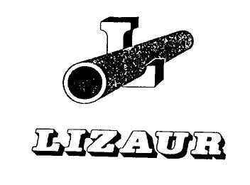 Imagen de L LIZAUR