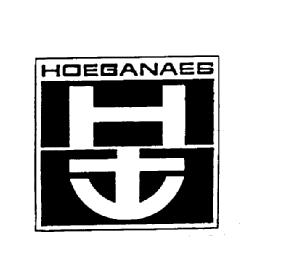 Imagen de H HOEGANAES