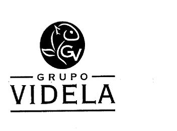 Imagen de GV GRUPO VIDELA
