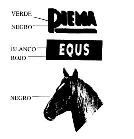 Imagen de PIEMA EQUS