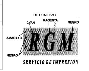 Imagen de RGM