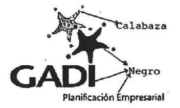 Imagen de GADI PLANIFICACION EMPRESARIAL Imagen de GADI PLANIFICACION EMPRESARIAL
