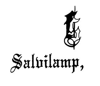 Imagen de SALVILAMP,