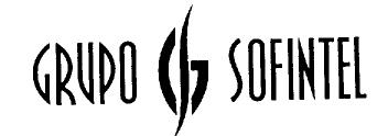 Imagen de GRUPO GS SOFINTEL