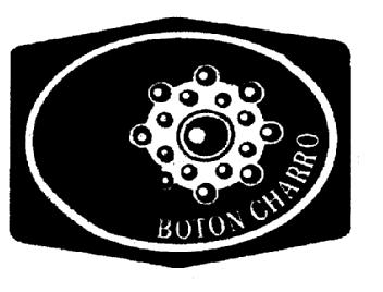Imagen de BOTON CHARRO