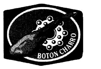 Imagen de BOTON CHARRO