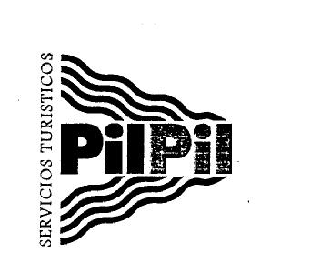 Imagen de SERVICIOS TURISTICOS PILPIL