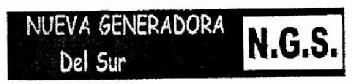 Imagen de NUEVA GENERADORA DEL SUR N.G.S