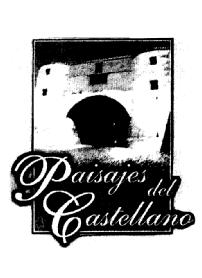 Imagen de PAISAJES DEL CASTELLANO
